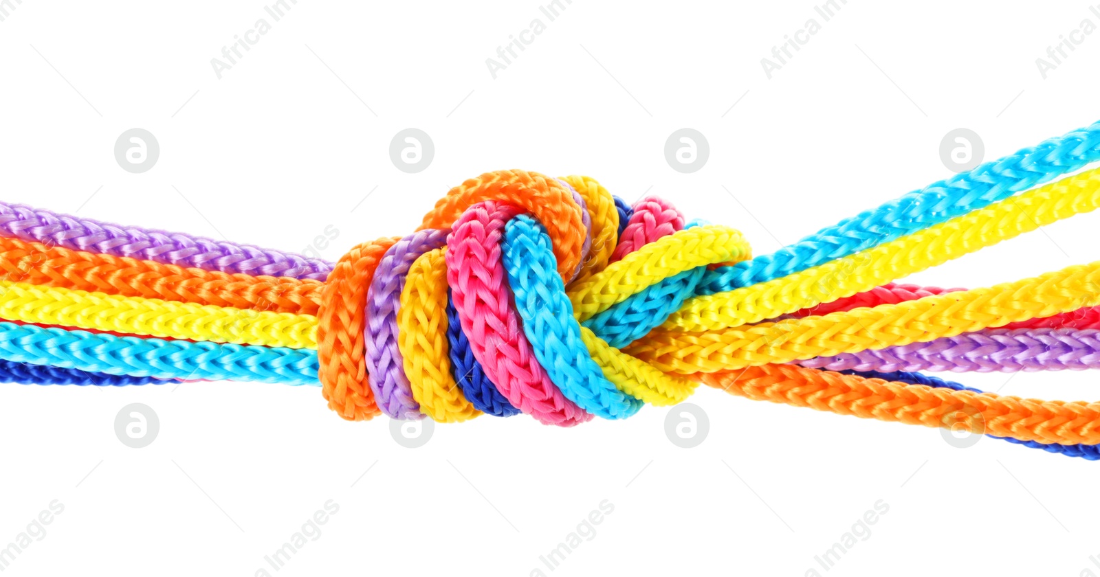 Photo of Colorful ropes tied in knot isolated on white. Unity concept