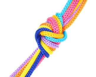 Photo of Colorful ropes tied in knot isolated on white. Unity concept