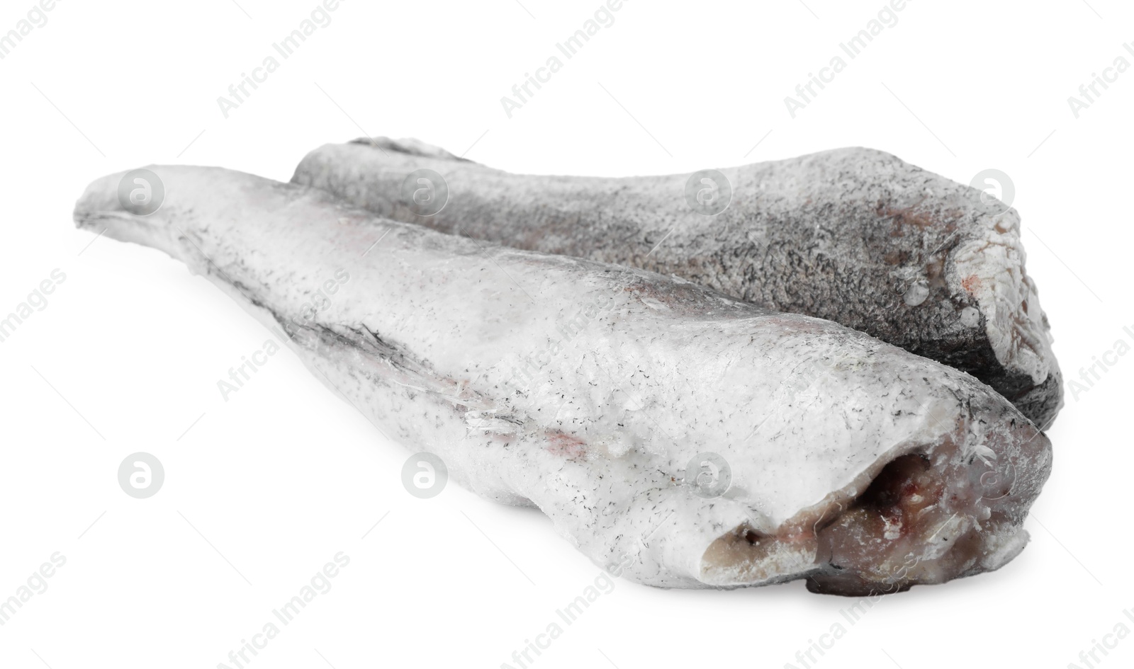 Photo of Two frozen hake fishes isolated on white