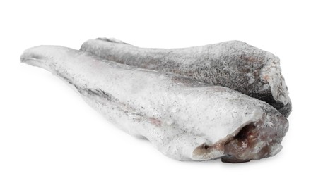 Photo of Two frozen hake fishes isolated on white