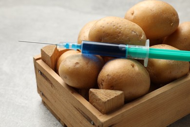 Photo of GMO concept. Potatoes and syringe with liquid in crate on grey textured table, closeup