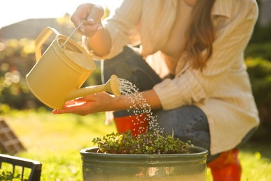 Photo of Woman watering potted seedlings with can outdoors, closeup