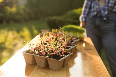 Photo of Woman with potted seedlings on wooden table outdoors, selective focus