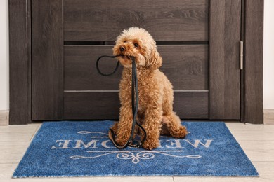 Photo of Walking with dog. Cute Maltipoo with leash near door indoors