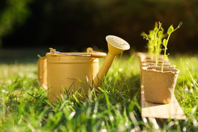 Photo of Potted seedlings and watering can on green grass outdoors