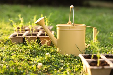 Photo of Potted seedlings and watering can on green grass outdoors