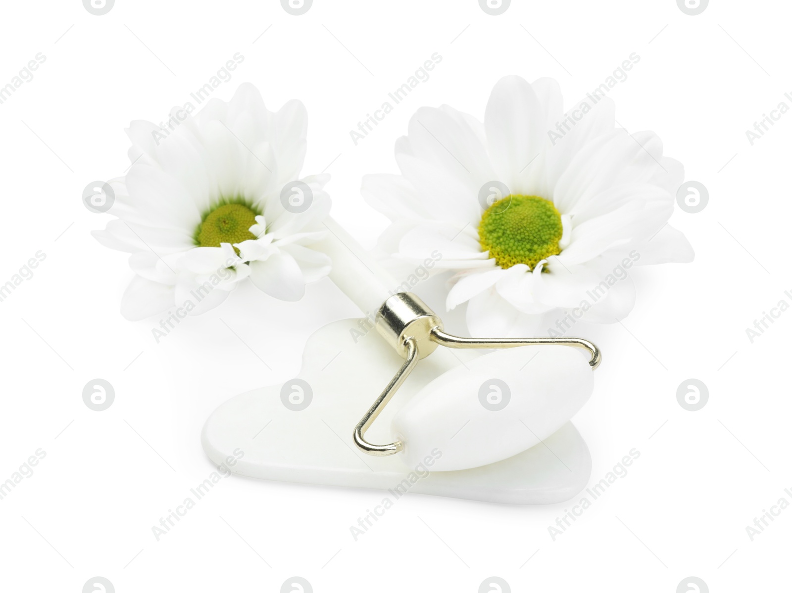 Photo of Face roller, flowers and gua sha tool isolated on white