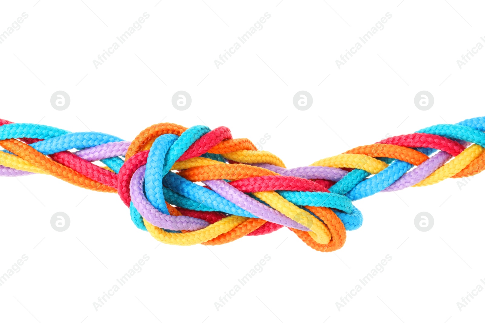 Photo of Colorful ropes tied in knot isolated on white. Unity concept