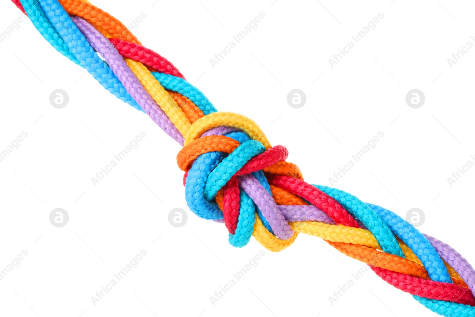 Photo of Colorful ropes tied in knot isolated on white. Unity concept