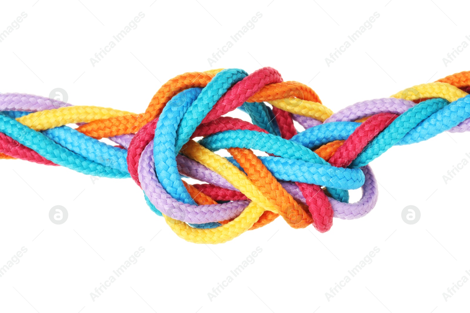 Photo of Colorful ropes tied in knot isolated on white. Unity concept