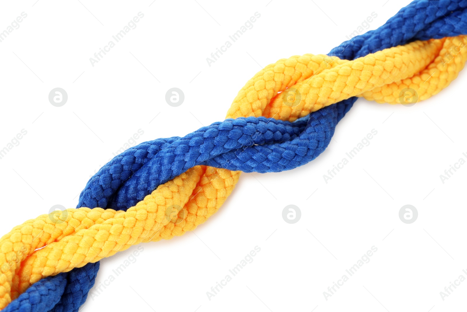 Photo of Colorful ropes tied together isolated on white. Unity concept