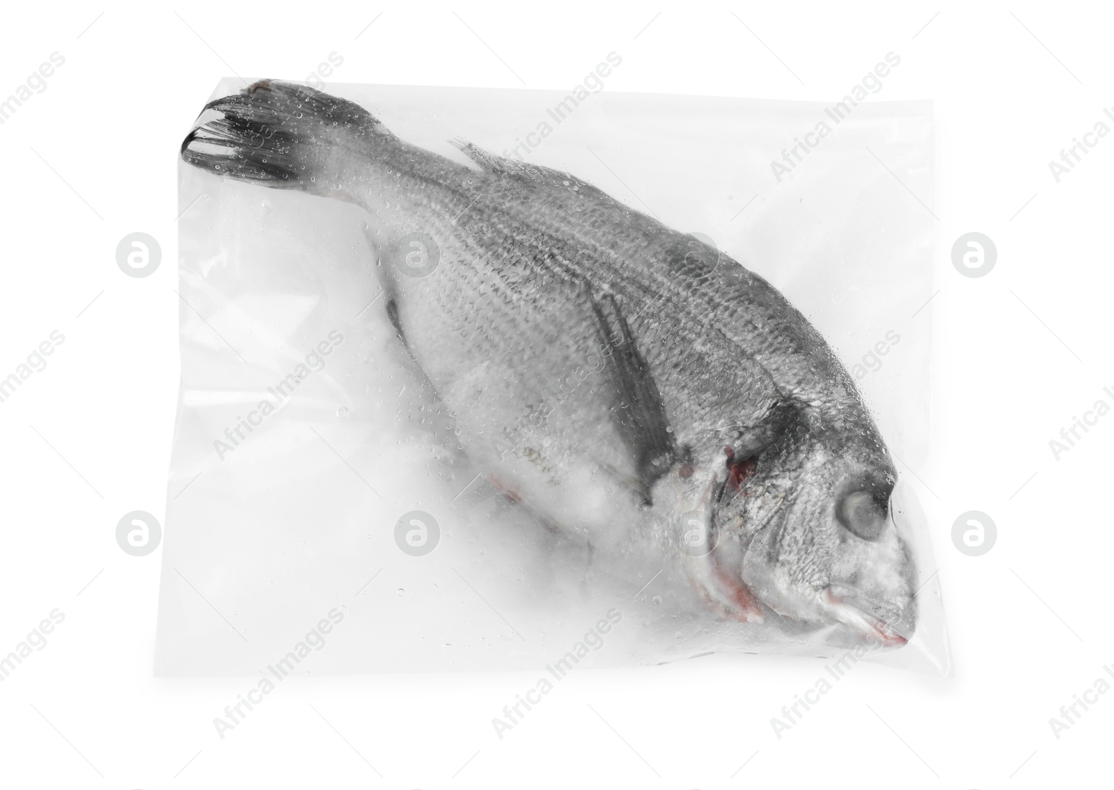 Photo of One frozen carp fish in plastic bag isolated on white