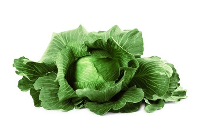 Photo of One ripe head of cabbage isolated on white