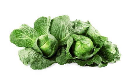 Photo of Two ripe heads of cabbages isolated on white