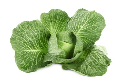 Photo of One ripe head of cabbage isolated on white