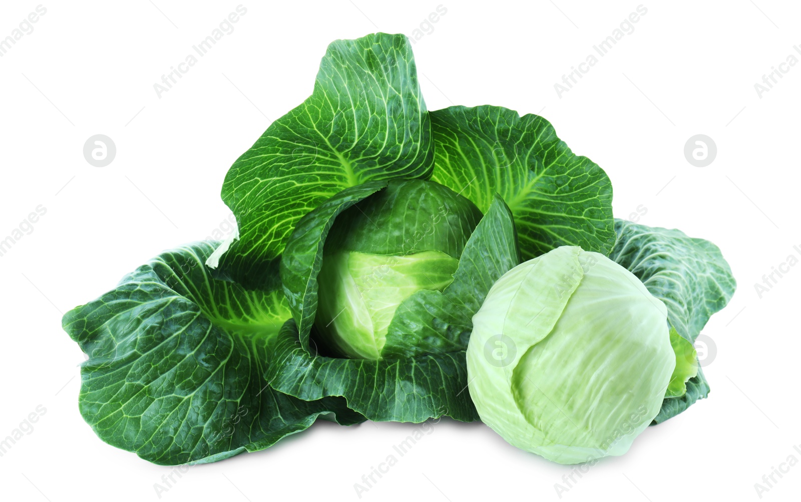 Photo of Two whole ripe cabbages isolated on white