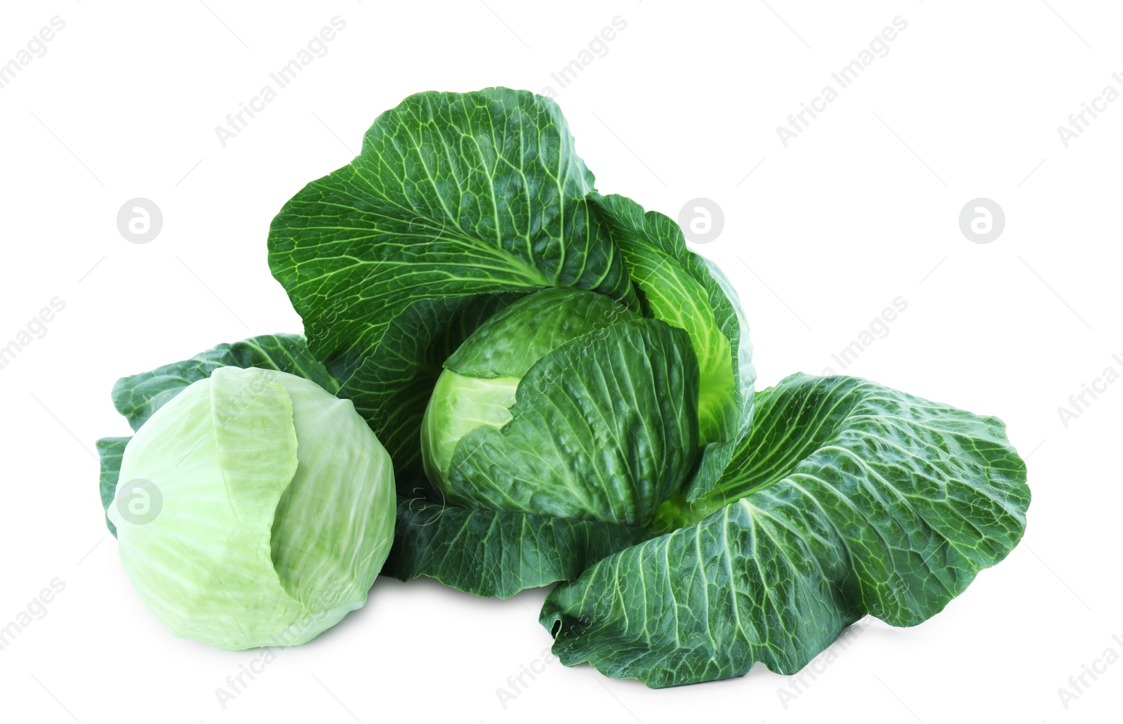 Photo of Two whole ripe cabbages isolated on white