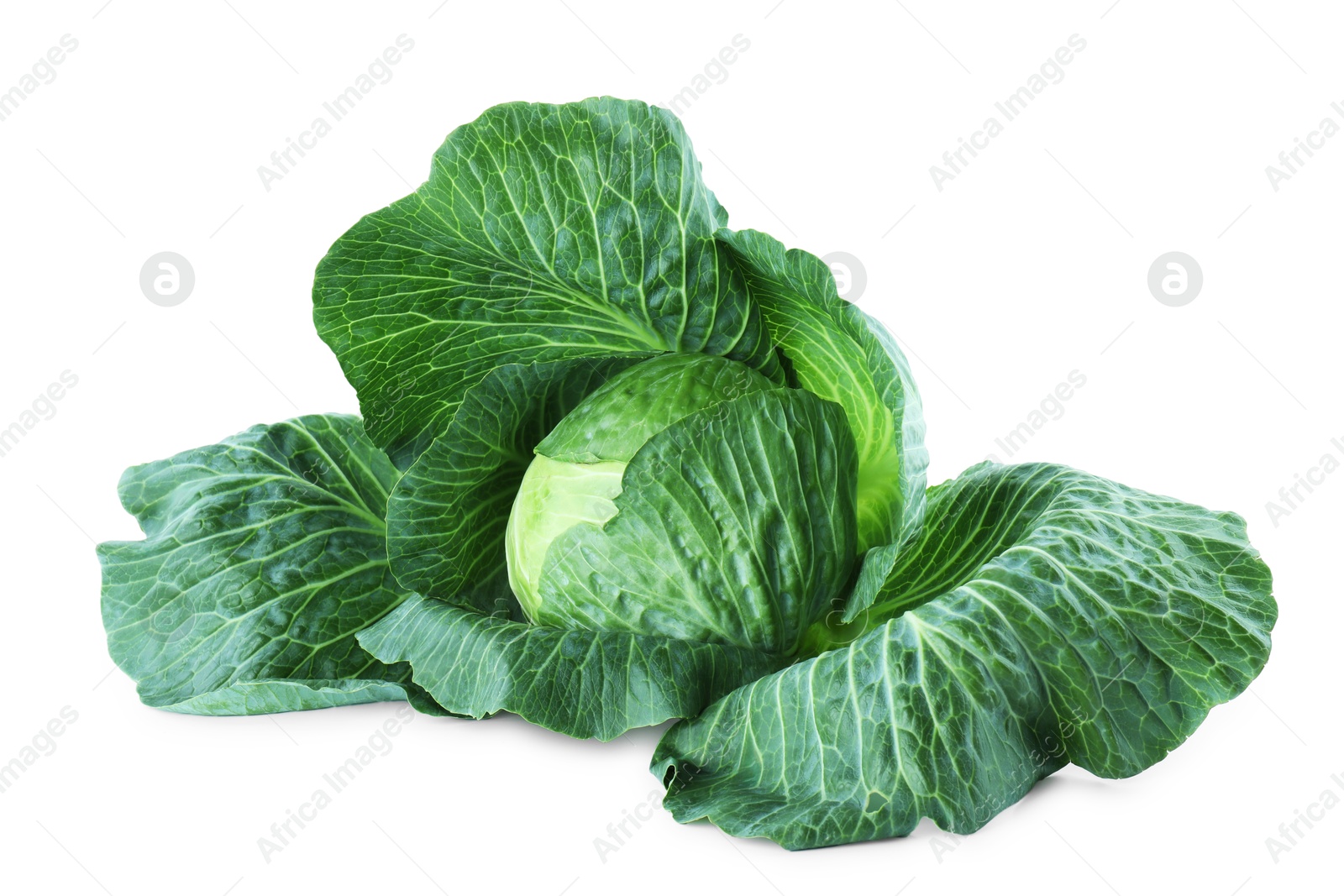 Photo of Whole ripe head of cabbage isolated on white