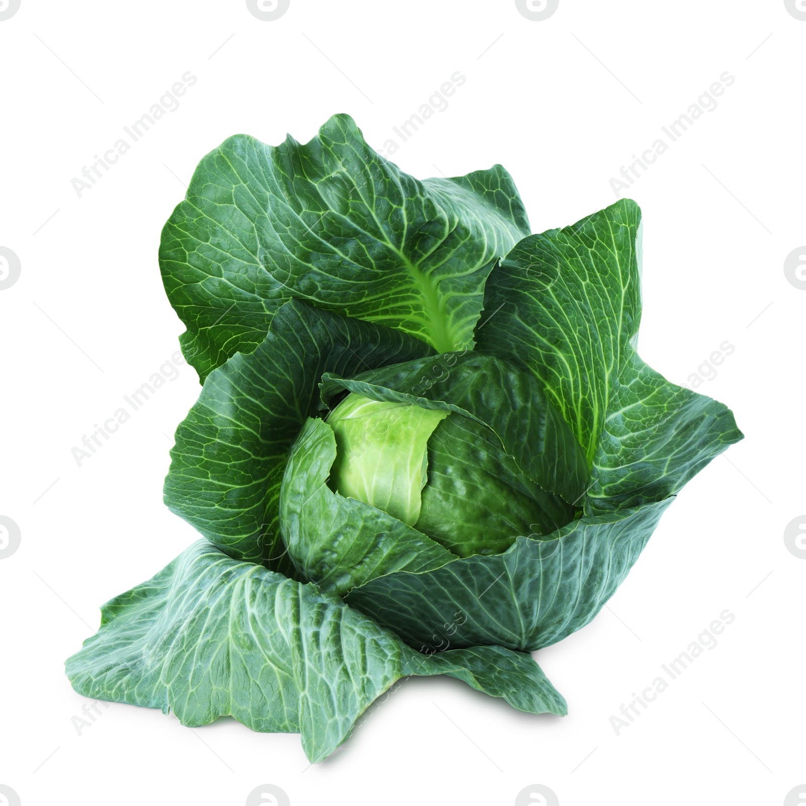 Photo of Whole ripe head of cabbage isolated on white