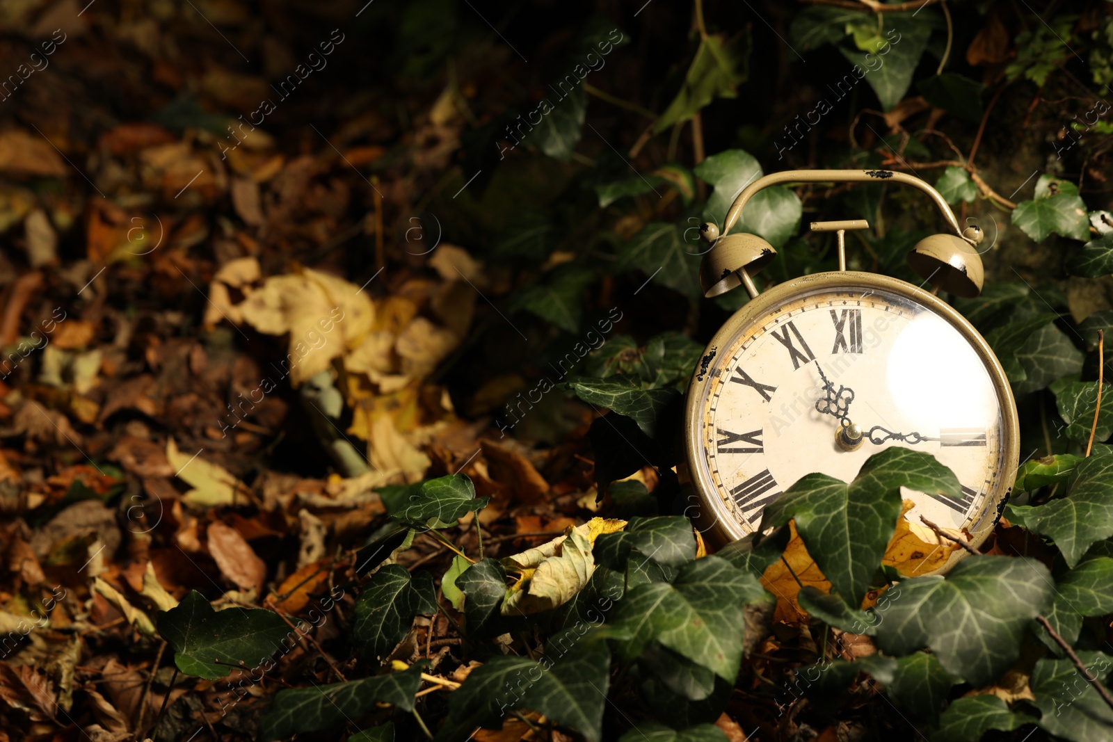 Photo of Alarm clock on fallen dry leaves outdoors, closeup. Space for text