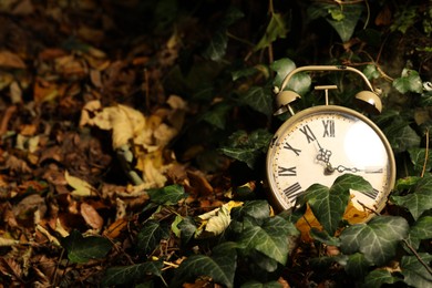 Photo of Alarm clock on fallen dry leaves outdoors, closeup. Space for text