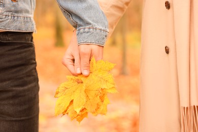 Photo of Couple holding dry leaves in autumn park, closeup