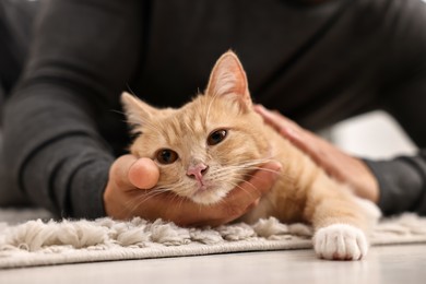 Photo of Man petting cute ginger cat on floor at home, closeup