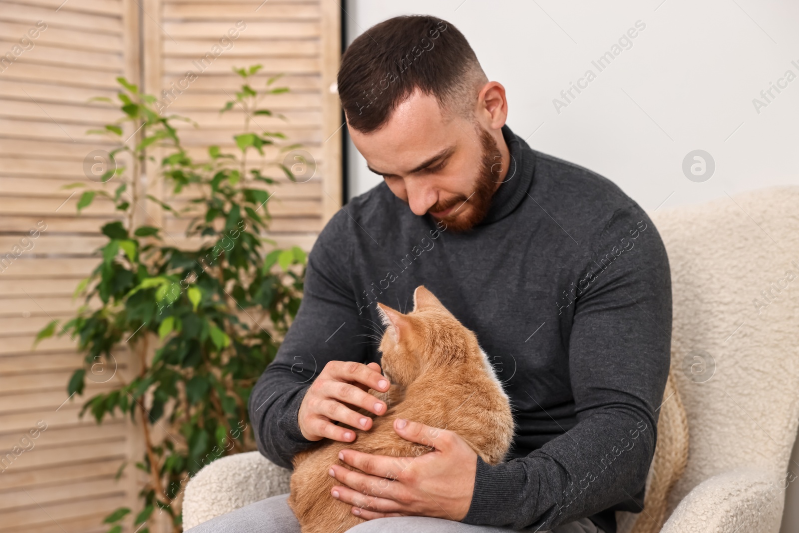 Photo of Man petting cute ginger cat on armchair at home