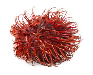 Photo of Delicious ripe rambutan isolated on white. Exotic fruit