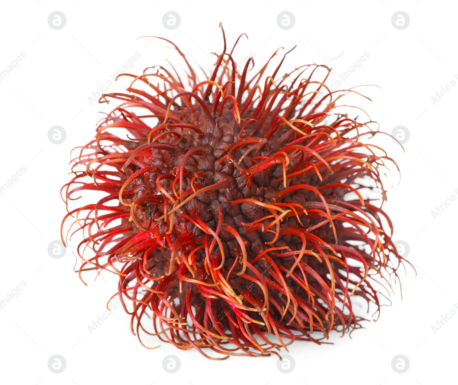 Photo of Delicious ripe rambutan isolated on white. Exotic fruit