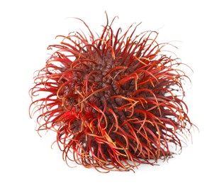 Photo of Delicious ripe rambutan isolated on white. Exotic fruit