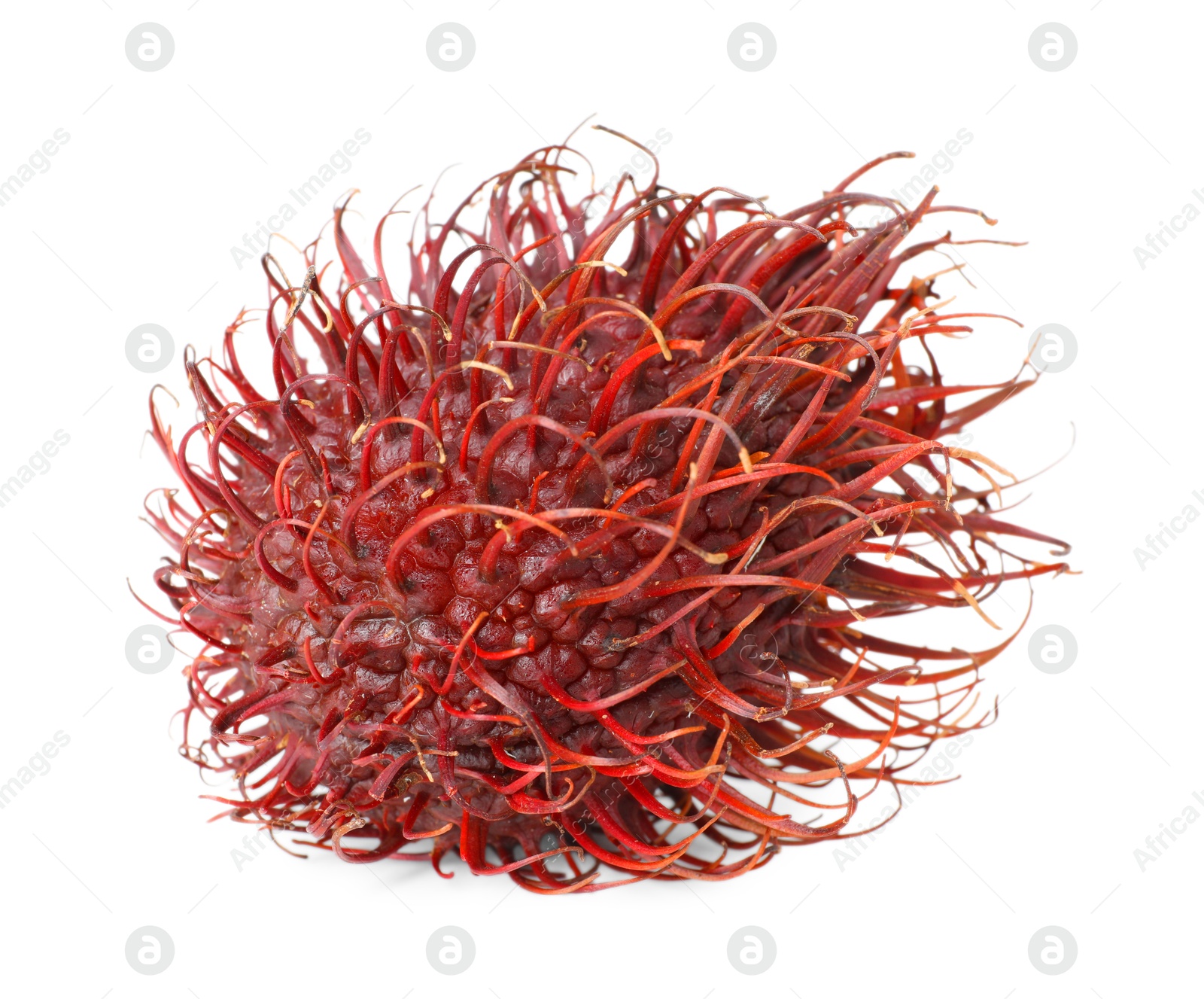 Photo of Delicious ripe rambutan isolated on white. Exotic fruit