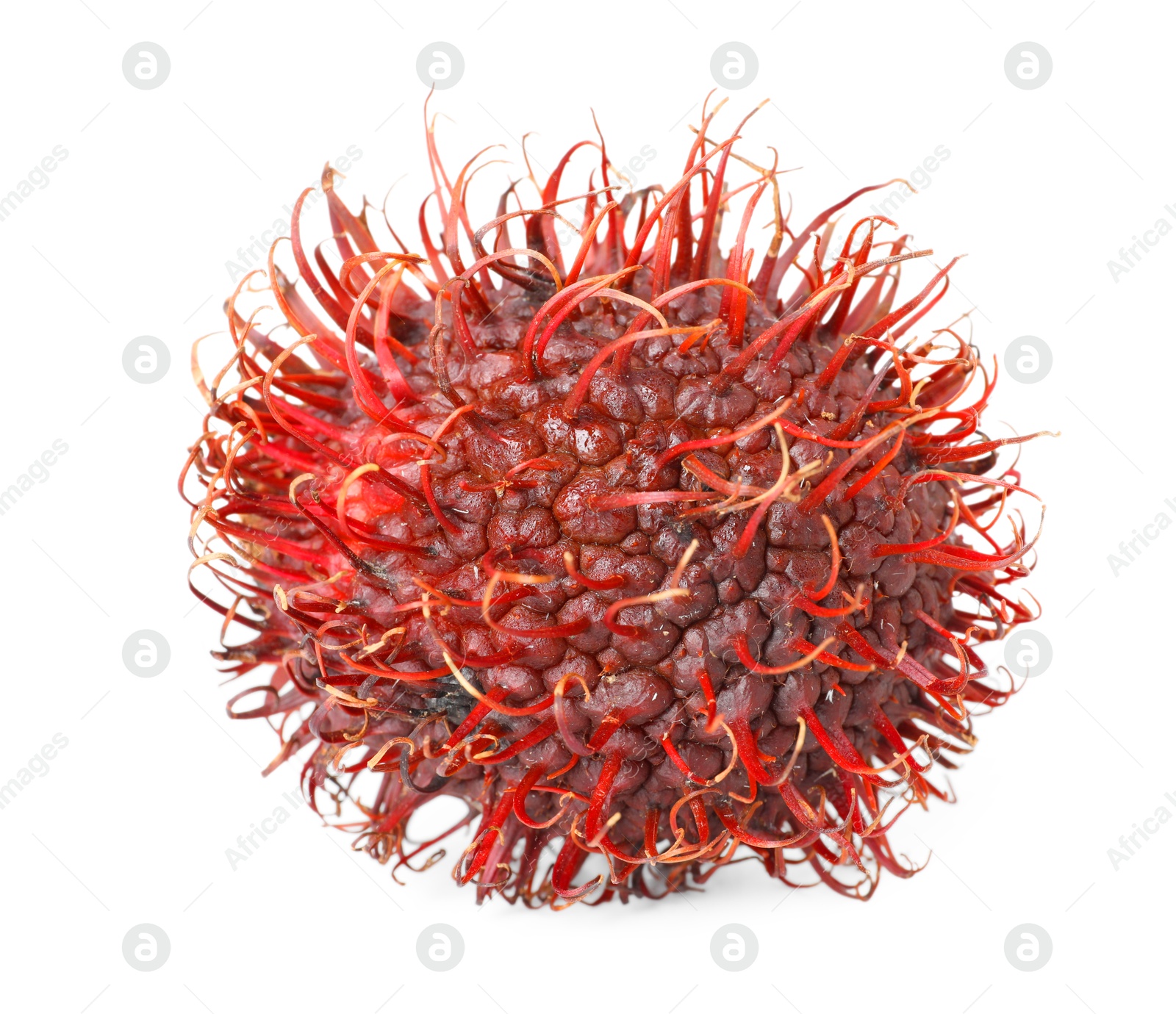 Photo of Delicious ripe rambutan isolated on white. Exotic fruit