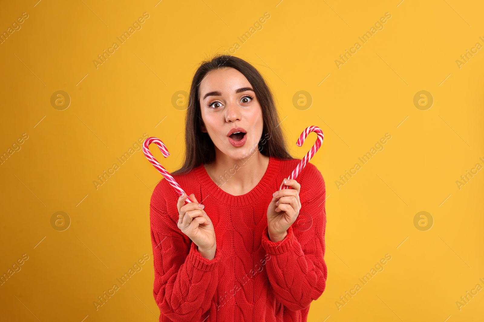 Photo of Excited young woman in red sweater holding candy canes on yellow background. Celebrating Christmas