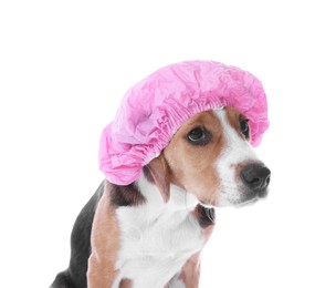 Photo of Adorable dog in pink shower cap on white background