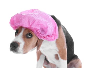 Photo of Adorable dog in pink shower cap on white background