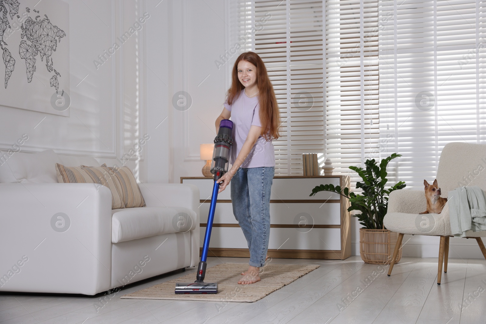 Photo of Teenage girl cleaning rug with cordless vacuum cleaner and her cute Chihuahua dog sitting in armchair at home