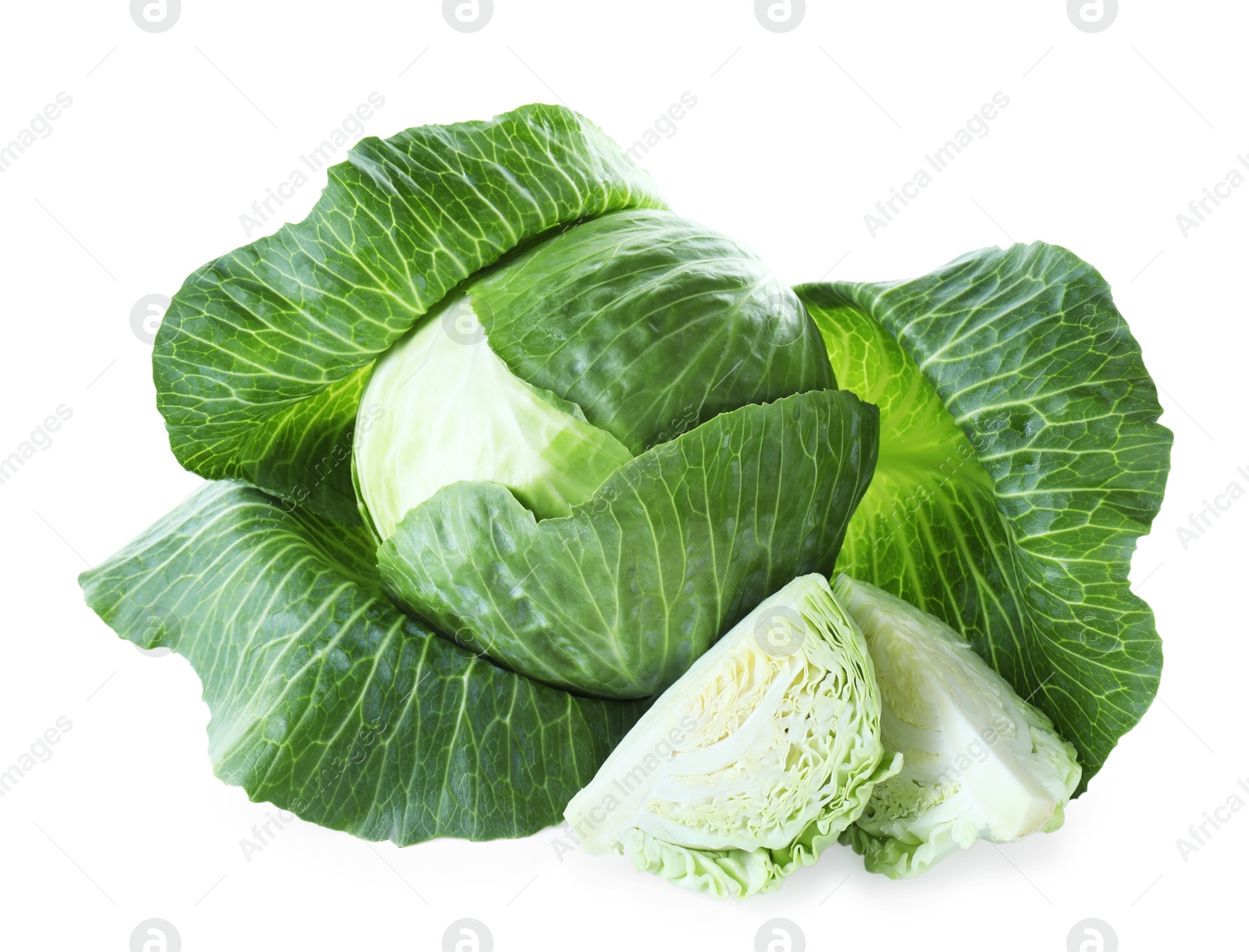 Photo of Whole and cut cabbages isolated on white