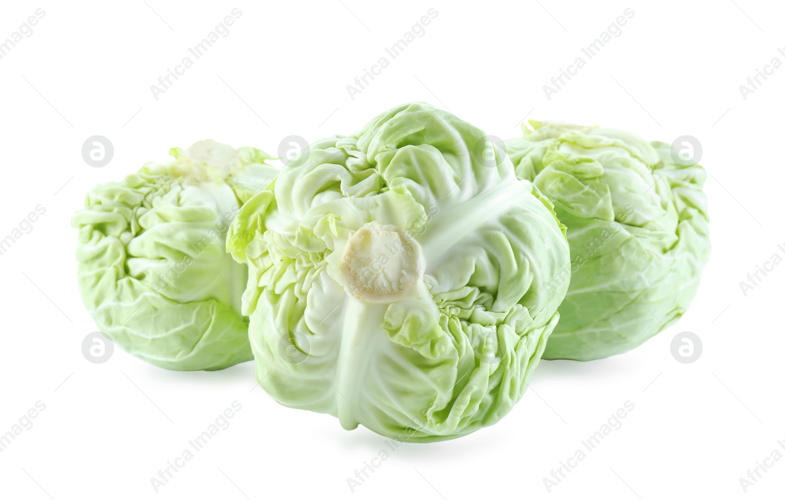 Photo of Whole and cut cabbages isolated on white