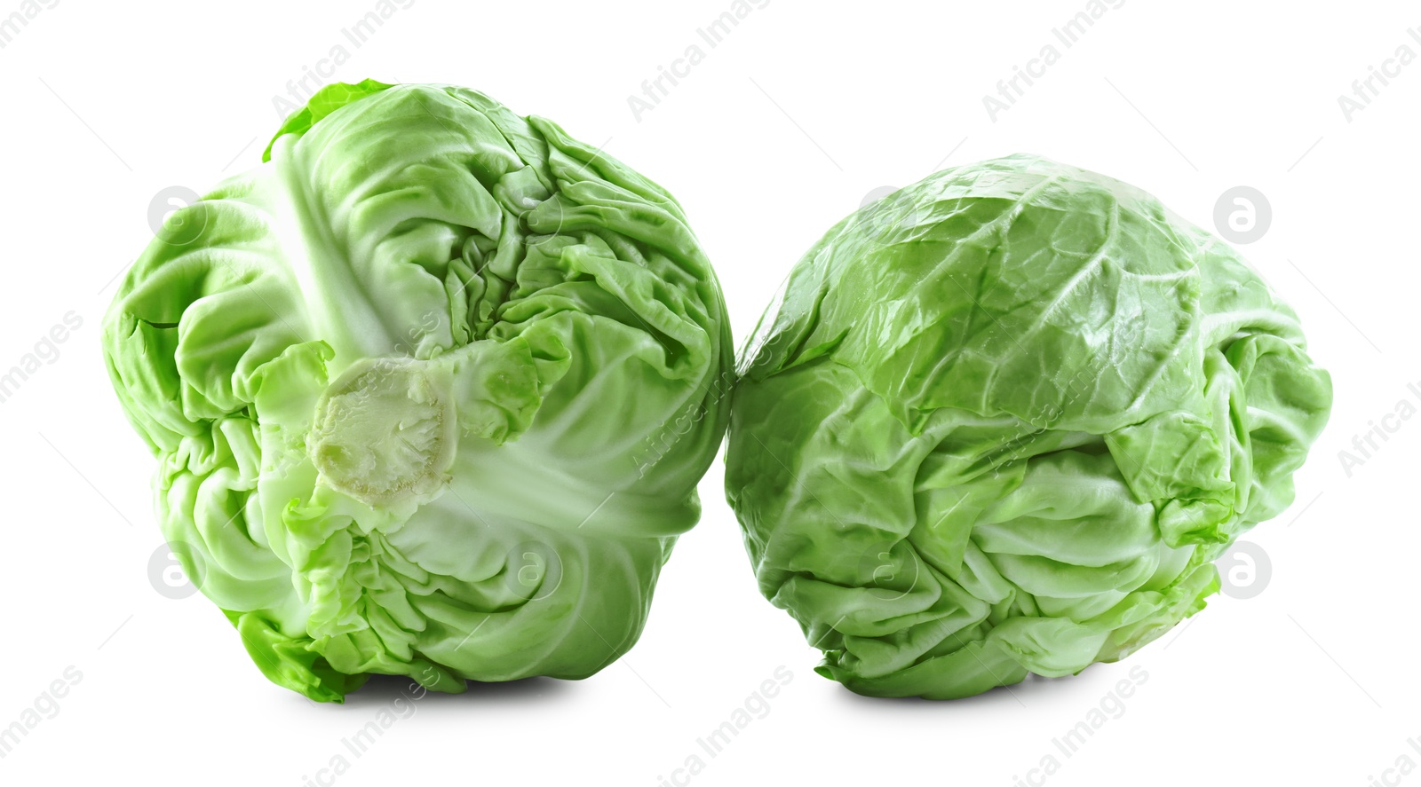 Photo of Two whole heads of cabbage isolated on white