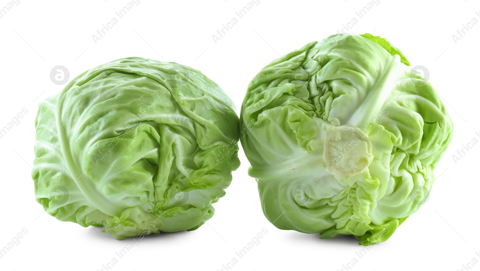 Photo of Two whole heads of cabbage isolated on white