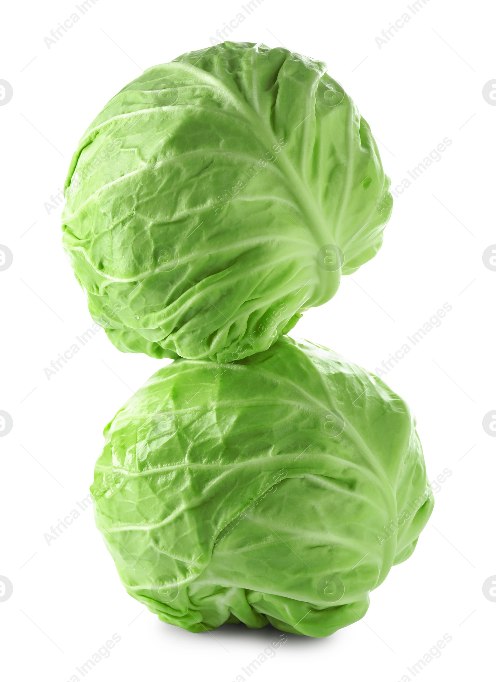 Photo of Two whole heads of cabbage isolated on white