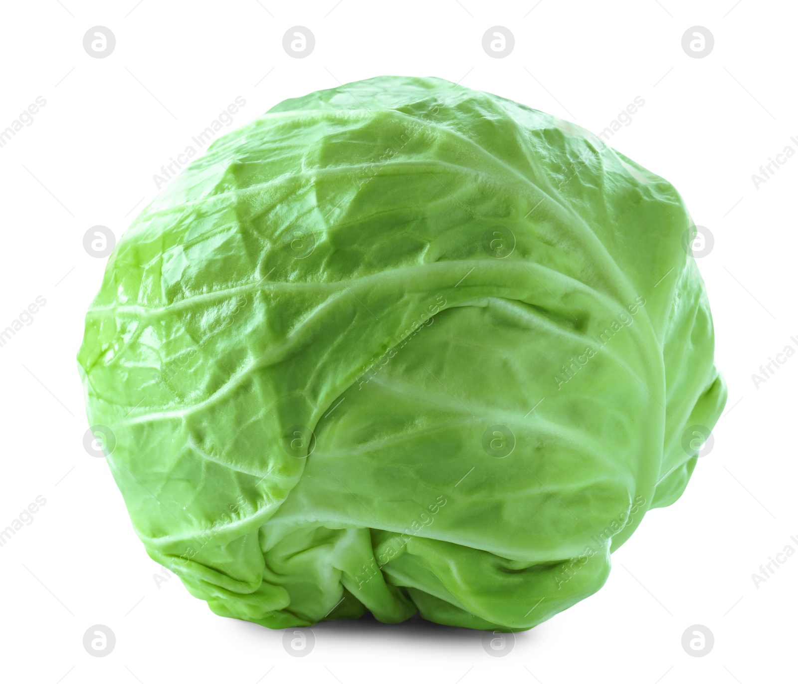 Photo of Whole head of cabbage isolated on white