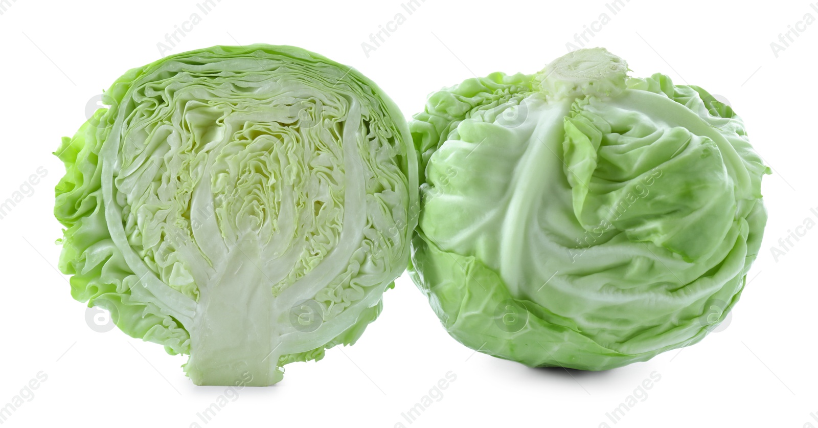 Photo of Whole and cut cabbages isolated on white