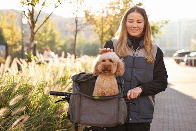 Photo of Woman with bicycle and cute Toy Poodle dog in pet carrier outdoors on sunny day