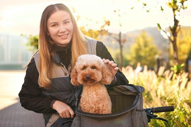 Woman with bicycle and cute Toy Poodle dog in pet carrier outdoors on sunny day