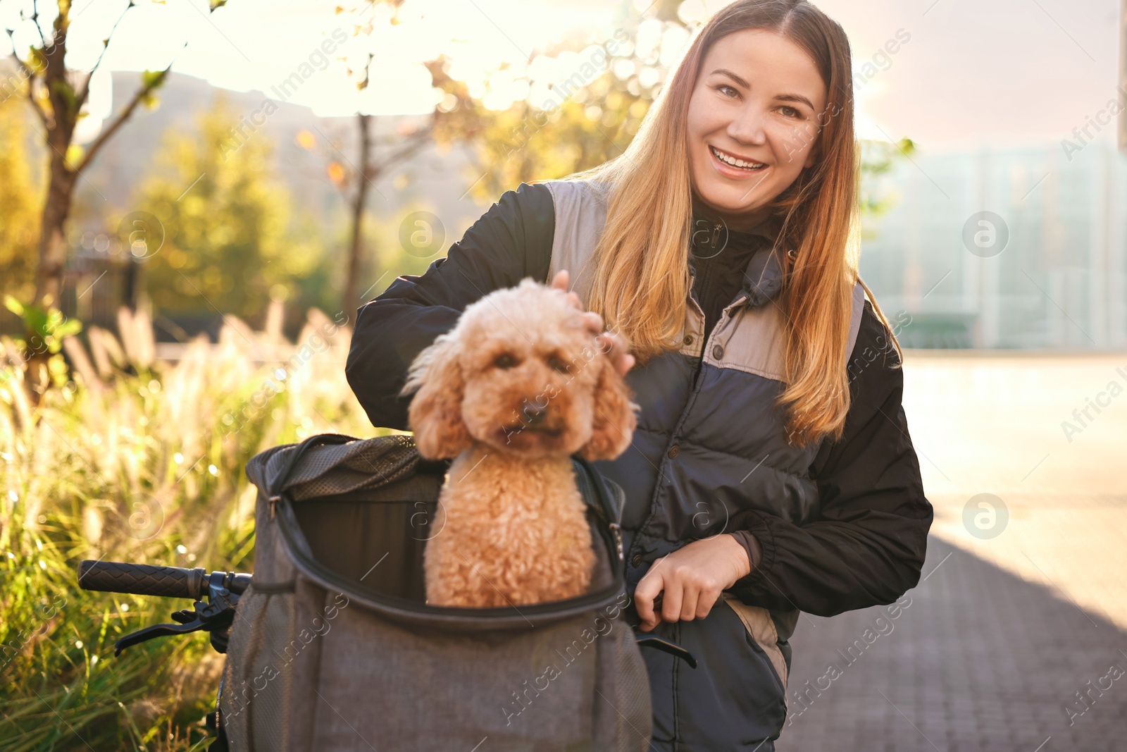 Photo of Woman with bicycle and cute Toy Poodle dog in pet carrier outdoors on sunny day