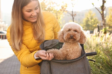 Photo of Smiling woman with bicycle and cute Toy Poodle dog in pet carrier outdoors on sunny day