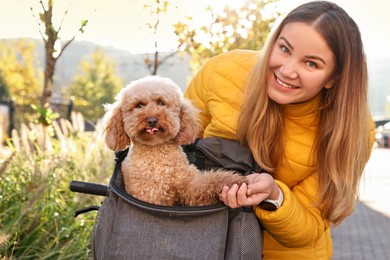 Smiling woman with bicycle and cute Toy Poodle dog in pet carrier outdoors on sunny day