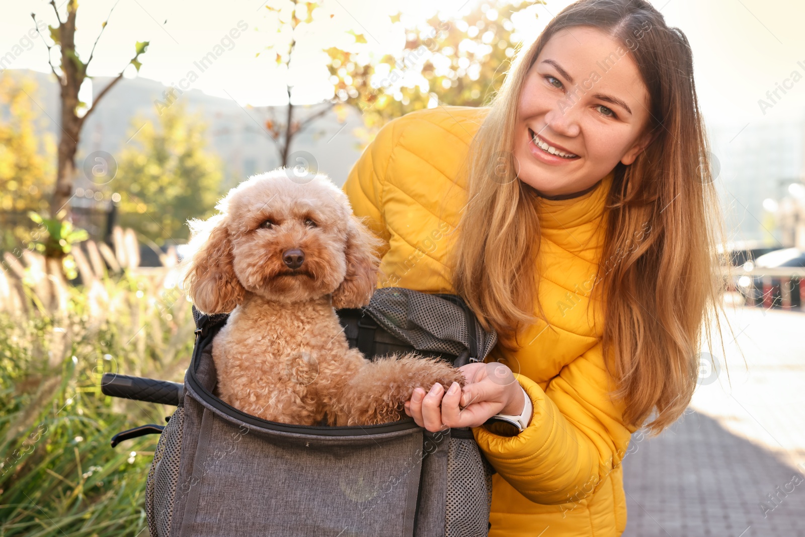 Photo of Smiling woman with bicycle and cute Toy Poodle dog in pet carrier outdoors on sunny day